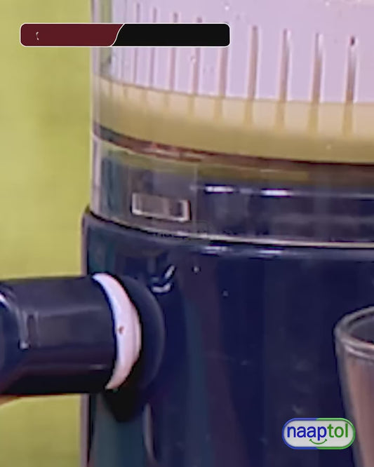 Mini Juicer